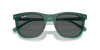 [Dark Grey Lenses, Polished Transparent Green Frame]