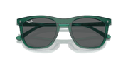 Dark Grey Lenses, Polished Transparent Green Frame