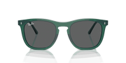 Dark Grey Lenses, Polished Transparent Green Frame