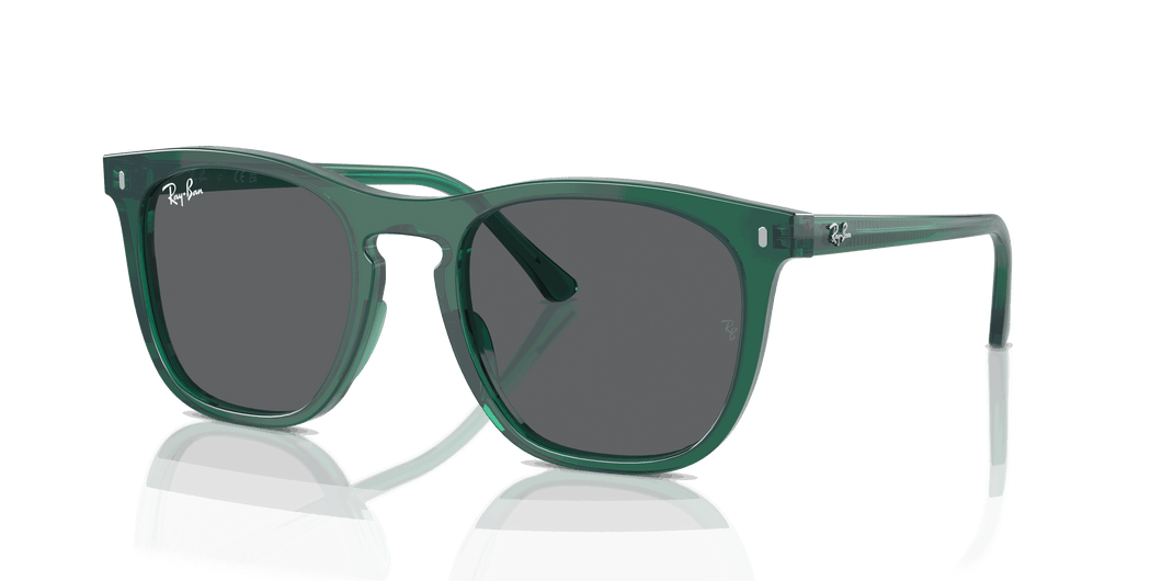 [Dark Grey Lenses, Polished Transparent Green Frame]