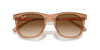 [Clear & Brown Lenses, Polished Transparent Brown Frame]