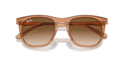 Clear & Brown Lenses, Polished Transparent Brown Frame