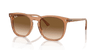 [Clear & Brown Lenses, Polished Transparent Brown Frame]