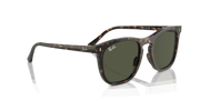 Green Lenses, Polished Havana Frame