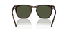 [Green Lenses, Polished Havana Frame]