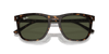 [Green Lenses, Polished Havana Frame]