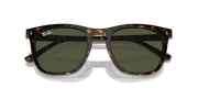 Green Lenses, Polished Havana Frame