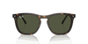 [Green Lenses, Polished Havana Frame]