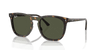 [Green Lenses, Polished Havana Frame]