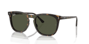 Green Lenses, Polished Havana Frame