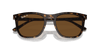 [Brown Lenses, Polished Havana Frame]