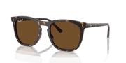 Brown Lenses, Polished Havana Frame