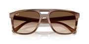 Clear Gradient Brown Lenses, Polished Havana Brown Frame