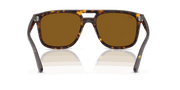 B-15 Brown Lenses, Polished Havana Frame