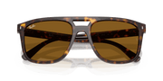 B-15 Brown Lenses, Polished Havana Frame