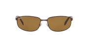 Brown Lenses, Polished Brown Frame