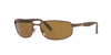 [Brown Lenses, Polished Brown Frame]