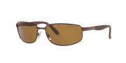 Brown Lenses, Polished Brown Frame