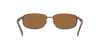 [Brown Lenses, Polished Brown Frame]