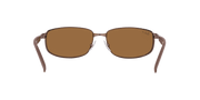 Brown Lenses, Polished Brown Frame