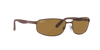 [Brown Lenses, Polished Brown Frame]