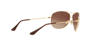 Brown Gradient Dark Brown Lenses, Polished Arista Gold Frame