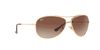 [Brown Gradient Dark Brown Lenses, Polished Arista Gold Frame]