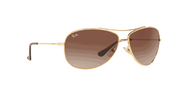 Brown Gradient Dark Brown Lenses, Polished Arista Gold Frame