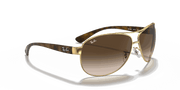 Brown Gradient Dark Brown Lenses, Polished Arista Gold Frame