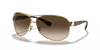 [Brown Gradient Dark Brown Lenses, Polished Arista Gold Frame]