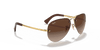 [Brown Gradient Lenses, Polished Arista Gold Frame]