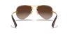 [Brown Gradient Lenses, Polished Arista Gold Frame]