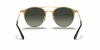 [Grey Gradient Lenses, Polished Black On Gold Frame]