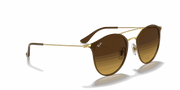 Brown Gradient Lenses, Polished Brown Frame