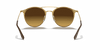 [Brown Gradient Lenses, Polished Brown Frame]