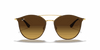 [Brown Gradient Lenses, Polished Brown Frame]