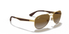 [Brown Lenses, Polished Arista Gold Frame]