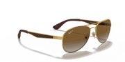 Brown Lenses, Polished Arista Gold Frame