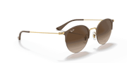 Brown Gradient Lenses, Polished Brown Frame