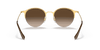 [Brown Gradient Lenses, Polished Brown Frame]