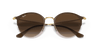 [Brown Gradient Lenses, Polished Brown Frame]