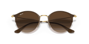 Brown Gradient Lenses, Polished Brown Frame