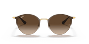 Brown Gradient Lenses, Polished Brown Frame