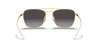 [Grey Lenses, Polished Black On Gold Frame]