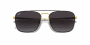 Grey Lenses, Polished Black On Gold Frame