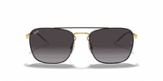 Grey Lenses, Polished Black On Gold Frame