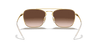 [Brown Gradient Dark Brown Lenses, Polished Brown On Gold Frame]