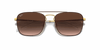 [Brown Gradient Dark Brown Lenses, Polished Brown On Gold Frame]