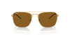 [Dark Brown Lenses, Polished Arista Gold Frame]