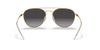 [Grey Lenses, Polished Black On Gold Frame]